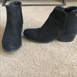 Steve Madden Black Suede Booties